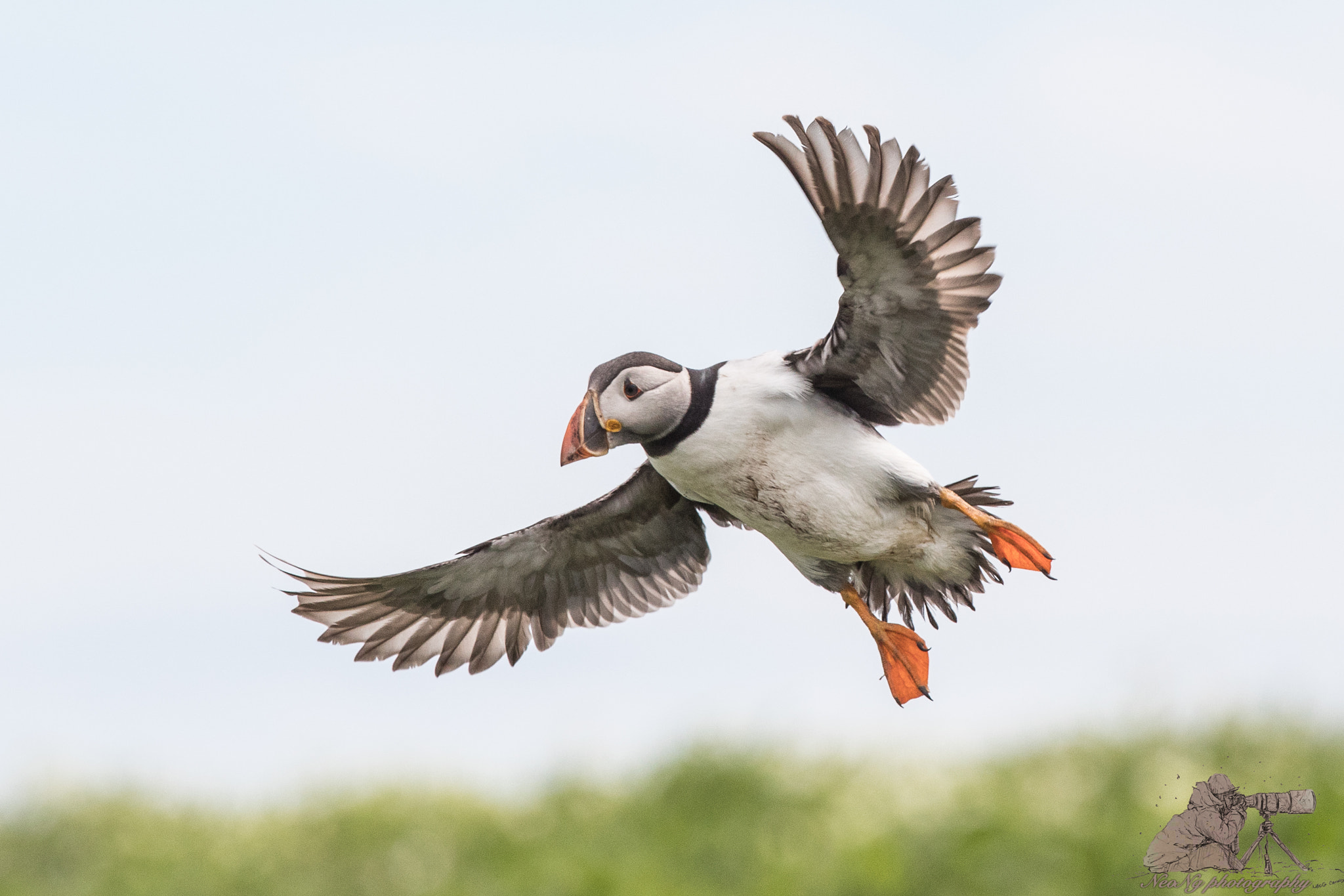 Canon EF 300mm F2.8L IS II USM sample photo. Neo_8585.jpg photography