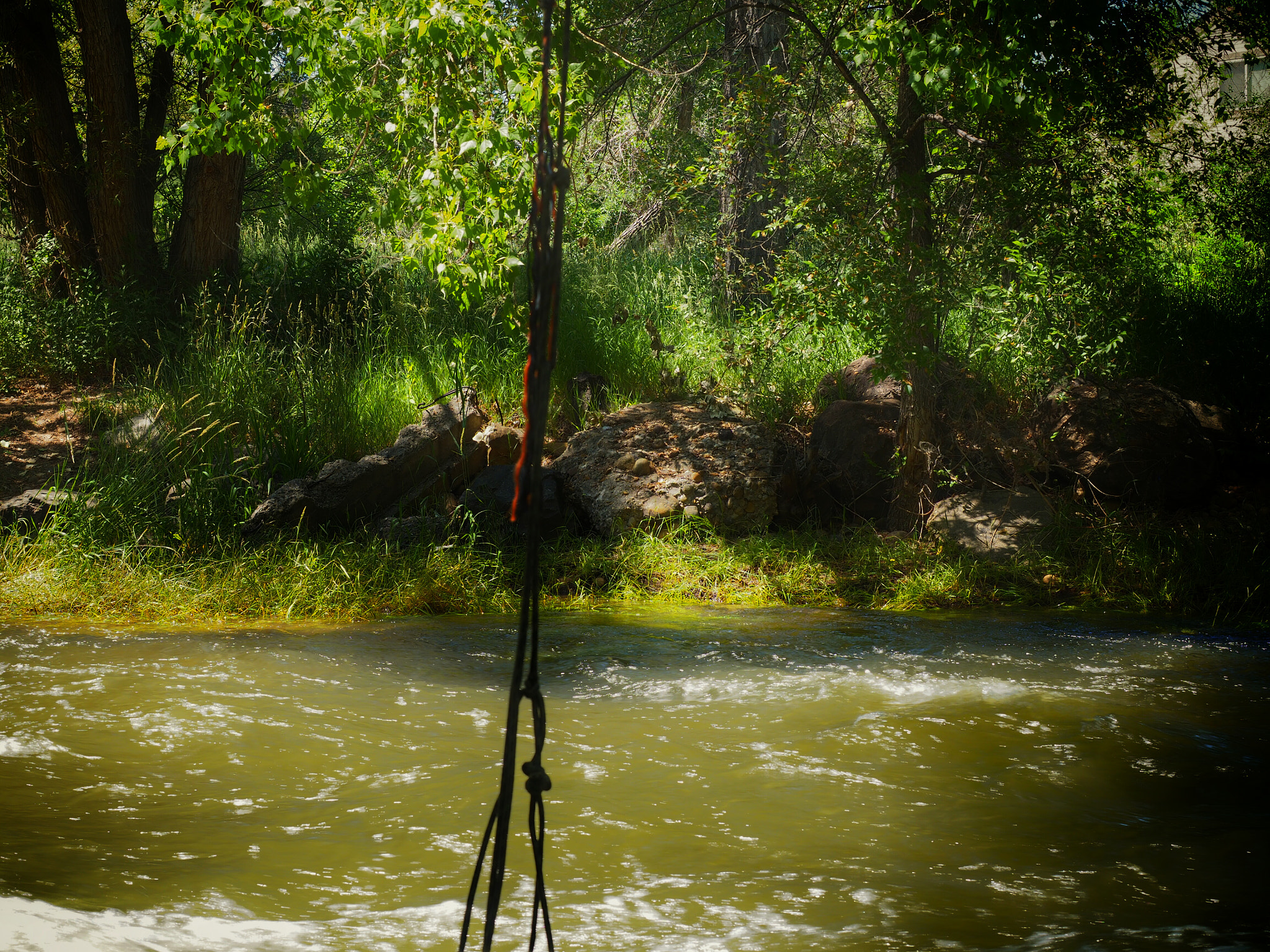 Olympus M.Zuiko Digital ED 12-40mm F2.8 Pro sample photo. Rope swing for the water hole. 6/26/16  photography