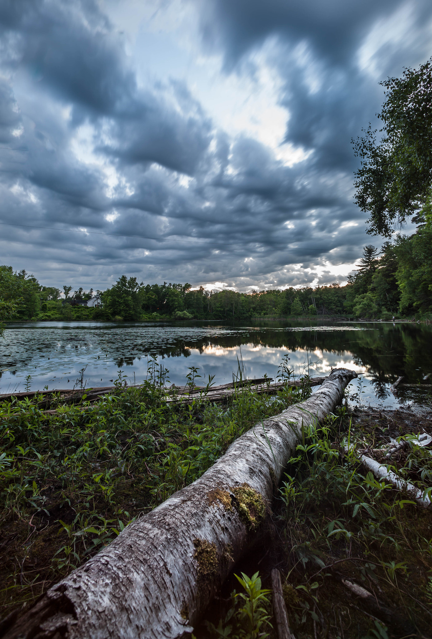 Canon EF 14mm F2.8L USM sample photo. Swamp photography