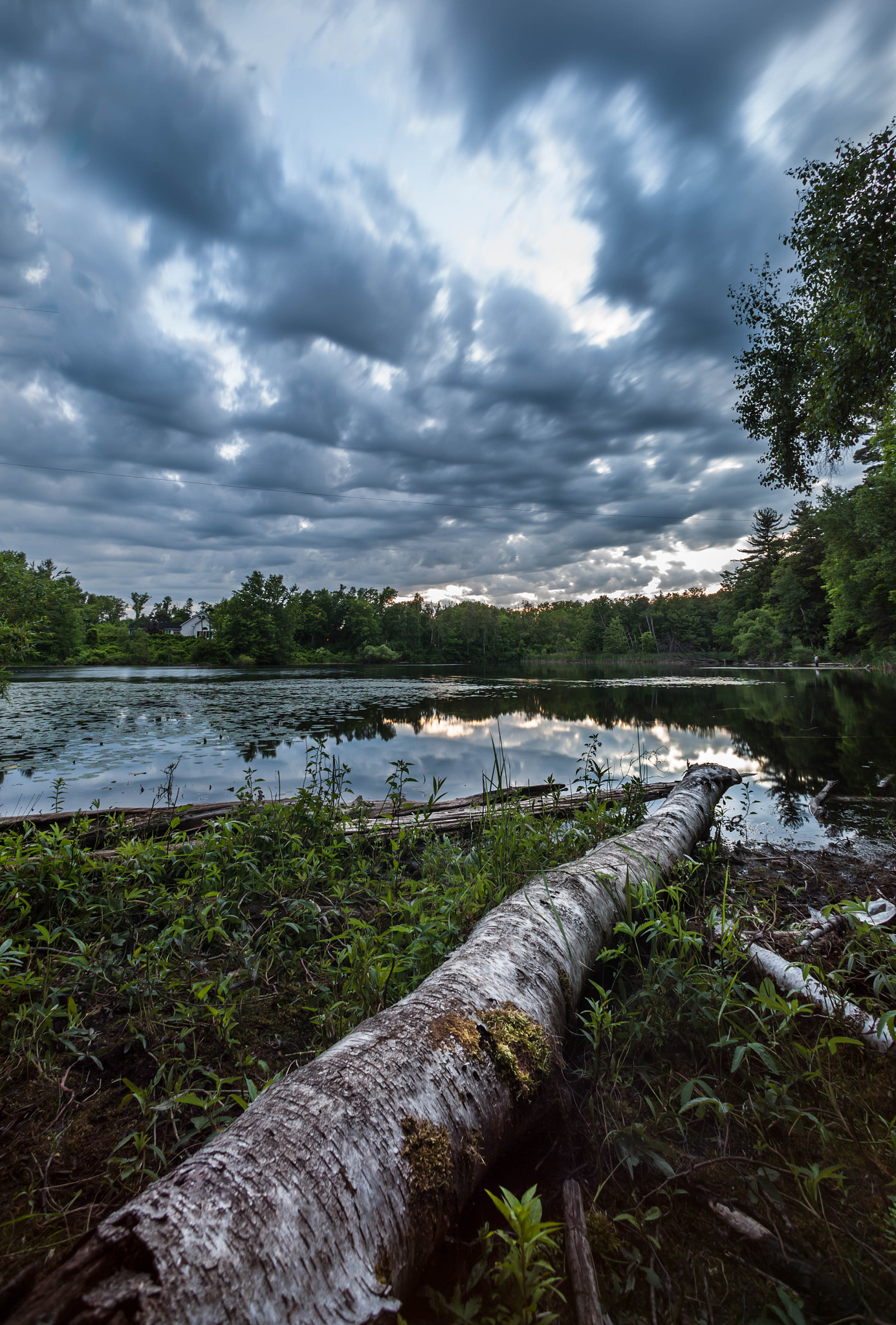 Canon EOS 5D Mark II + Canon EF 14mm F2.8L USM sample photo. Swamp photography