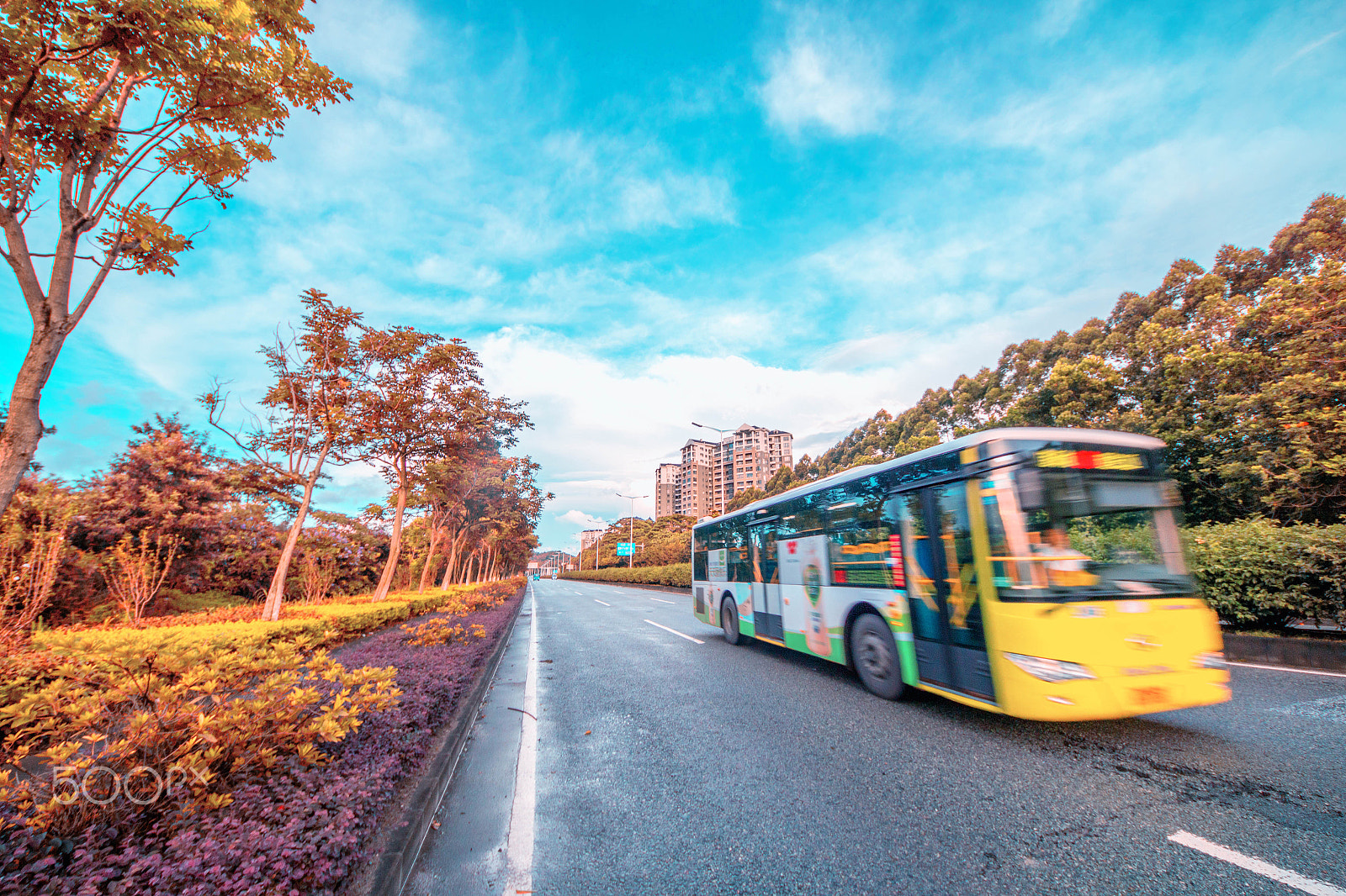 Sigma 8-16mm F4.5-5.6 DC HSM sample photo. The bus photography