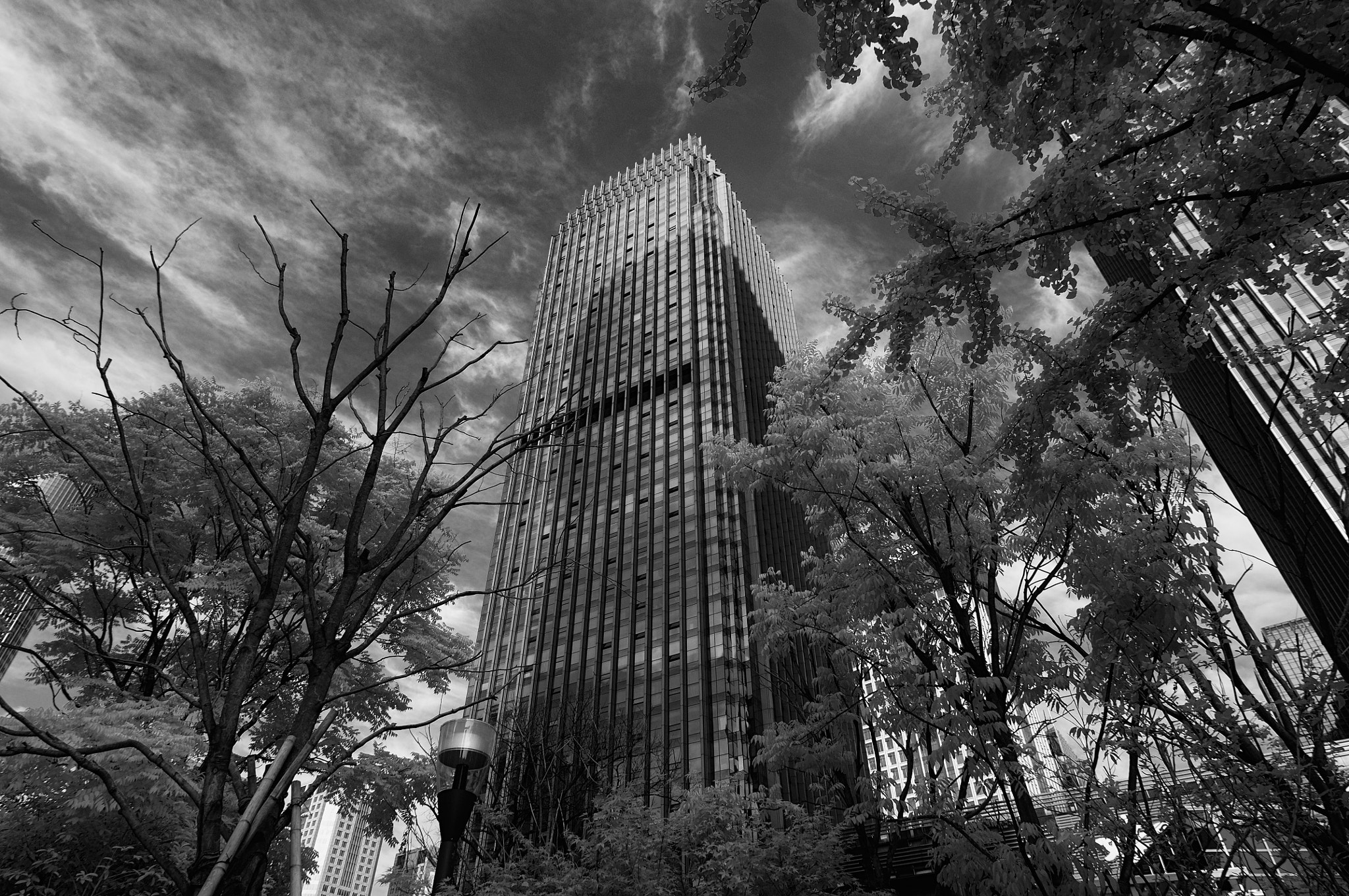 Nikon D300S sample photo. Hide photography