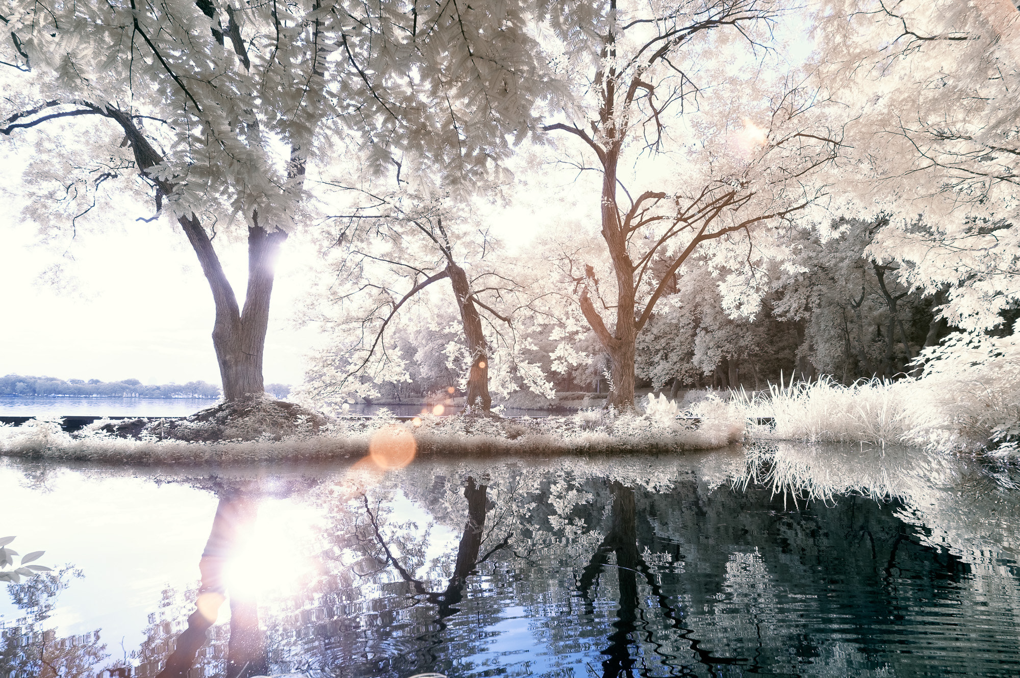 Nikon D300S sample photo. Summer photography