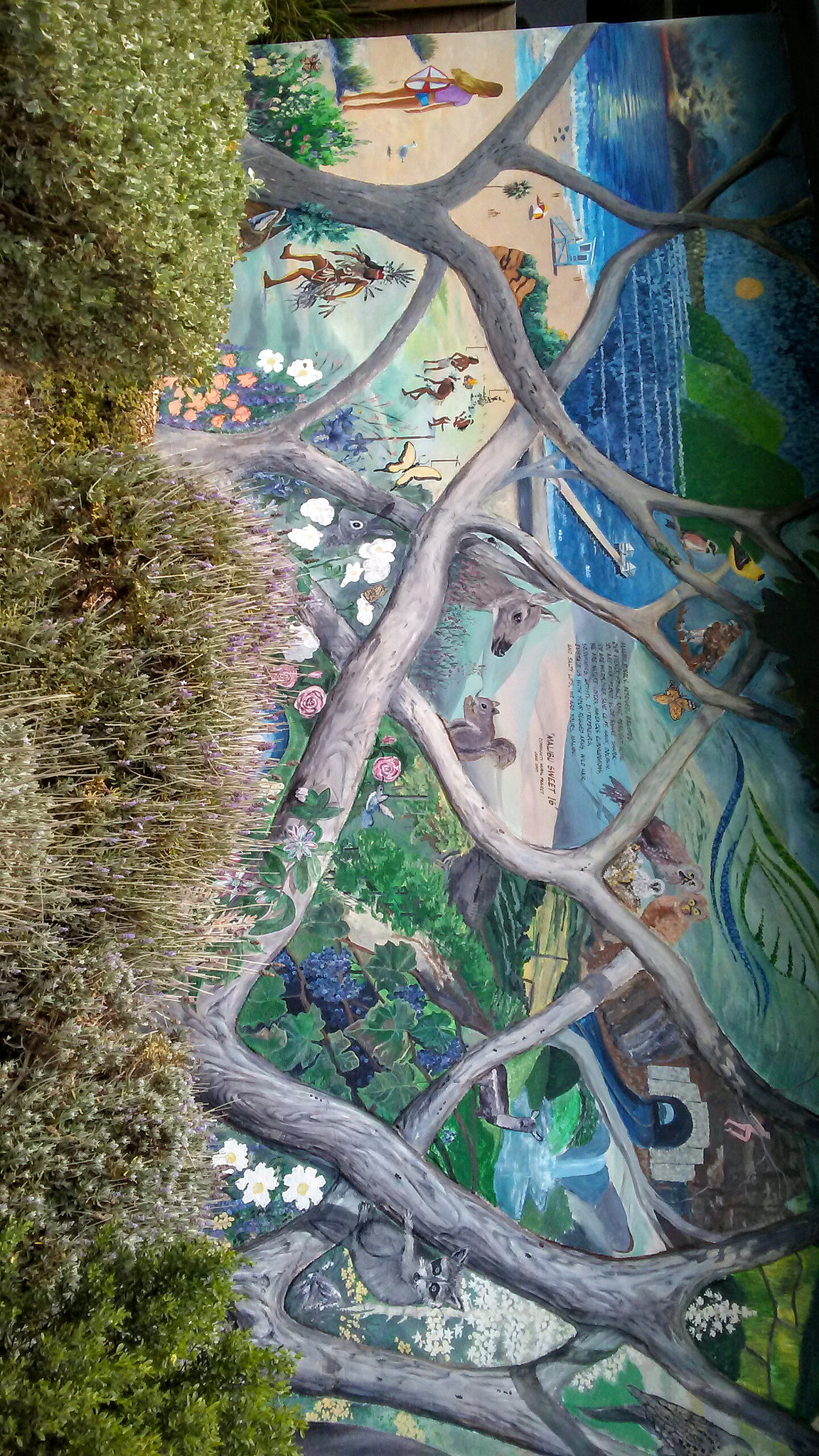 LG M1 sample photo. Mural mural.... photography
