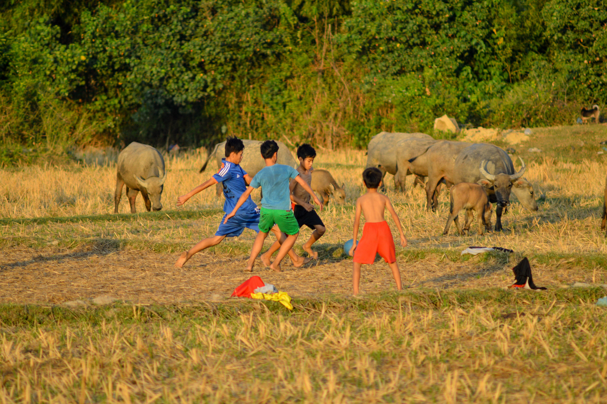 Nikon D3200 + AF Zoom-Nikkor 70-210mm f/4 sample photo