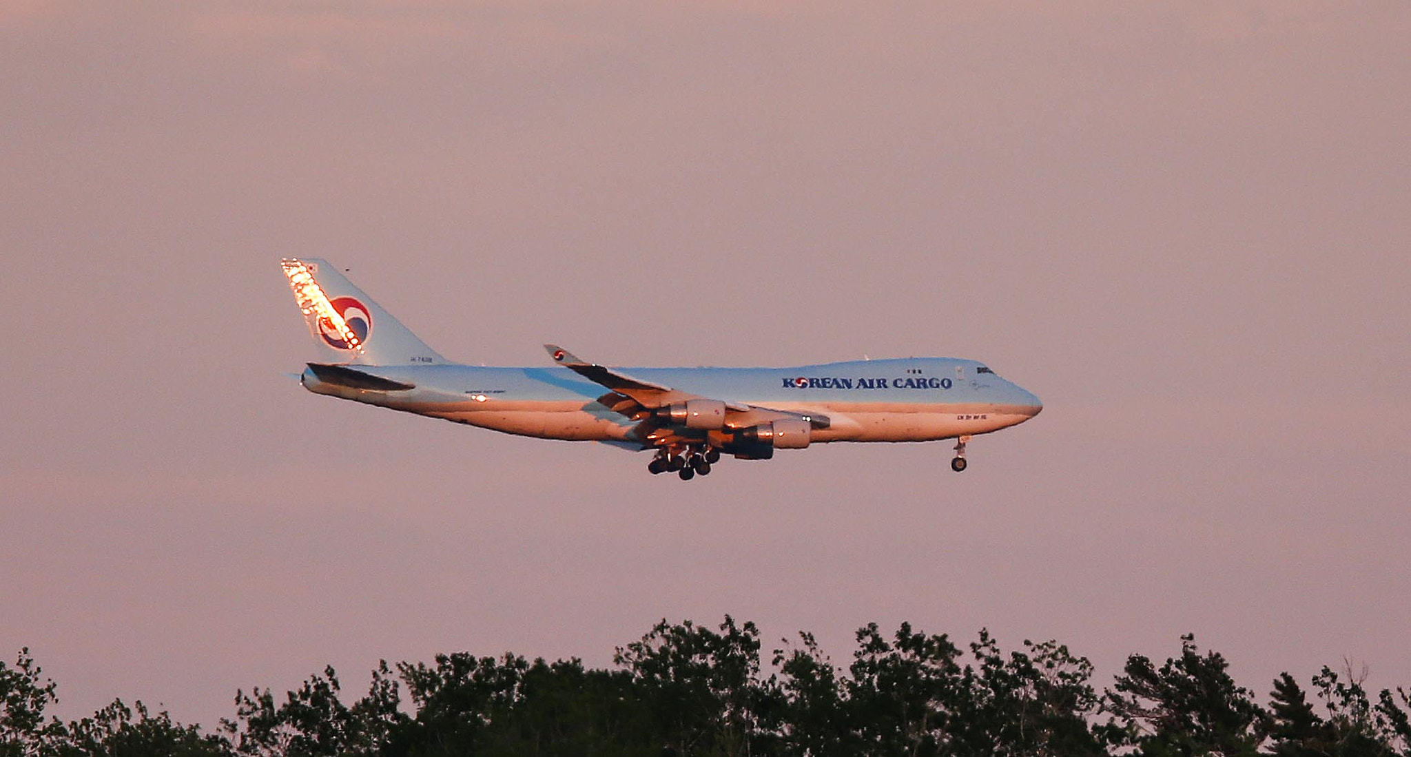 Canon EF 400mm F2.8L IS II USM sample photo. Cleared for landing photography