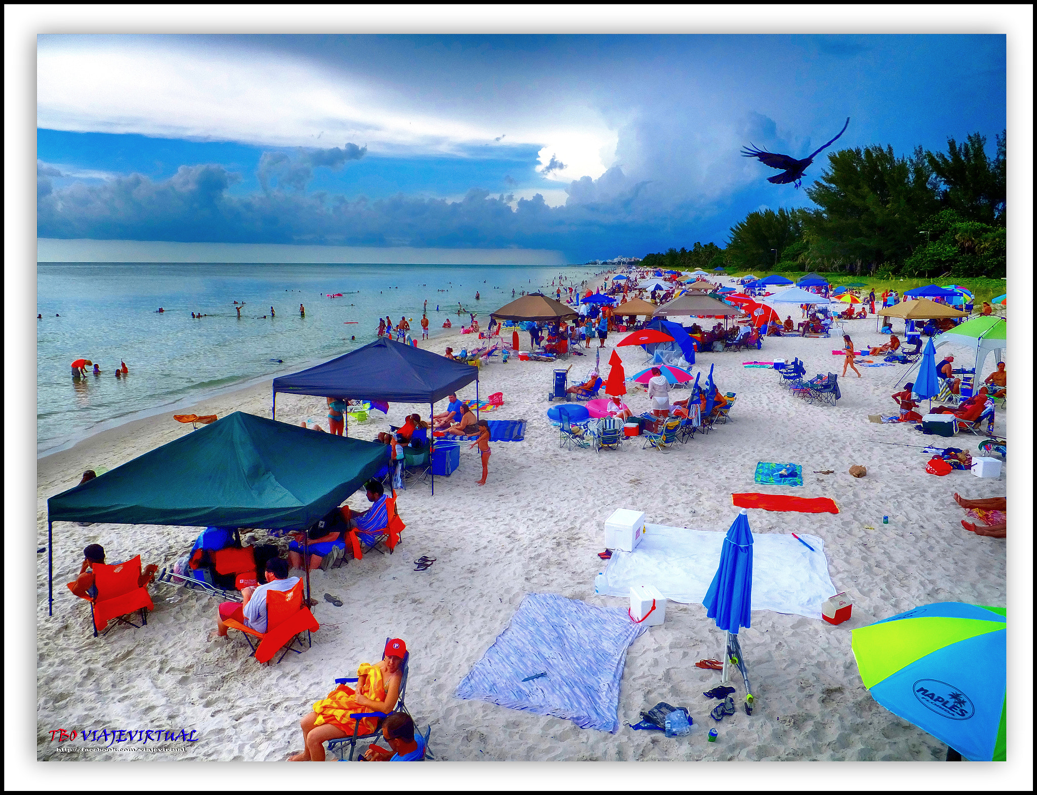 Fujifilm FinePix F850EXR sample photo. Naples, fl. just in the beach, 04 july, 2015 photography