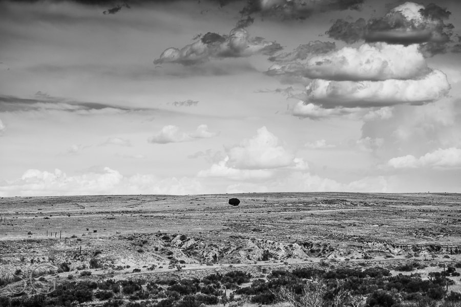 Sony E 55-210mm F4.5-6.3 OSS sample photo. Wanderlust americana photography