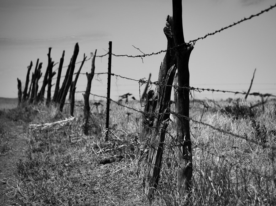 Sony E 55-210mm F4.5-6.3 OSS sample photo. Wanderlust americana photography