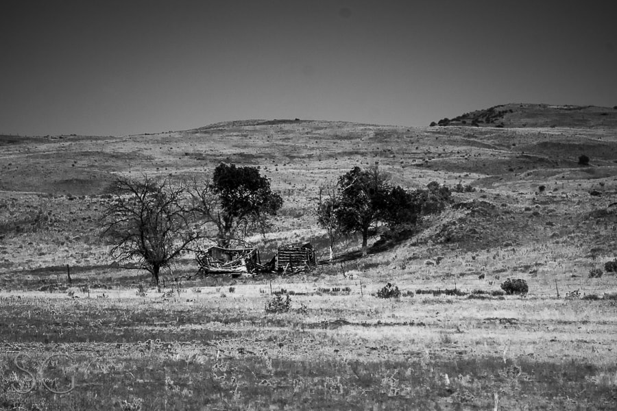 Sony E 55-210mm F4.5-6.3 OSS sample photo. Wanderlust americana photography