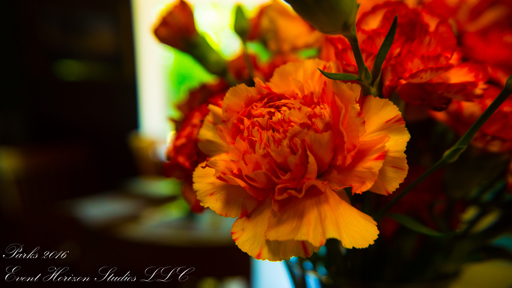 Sony a7S sample photo