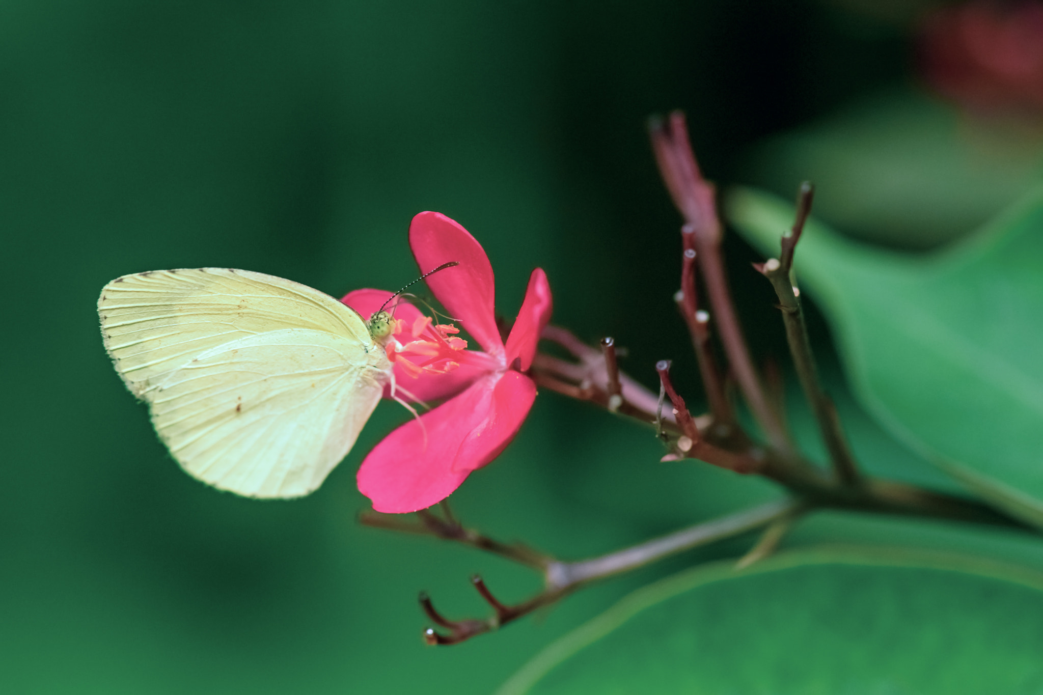 Nikon D5 sample photo. Love the color photography