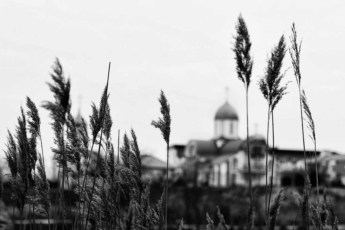 Olympus PEN E-PM2 sample photo. *** photography