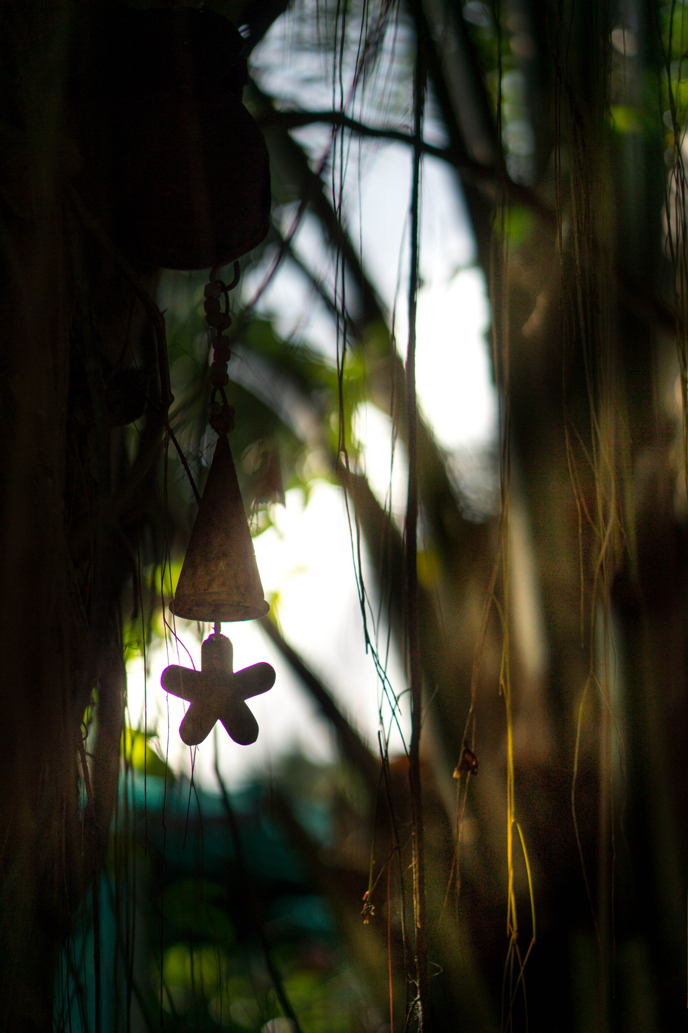 Sony a5100 + E 50mm F1.8 OSS sample photo. Dsc08294-1.jpg photography