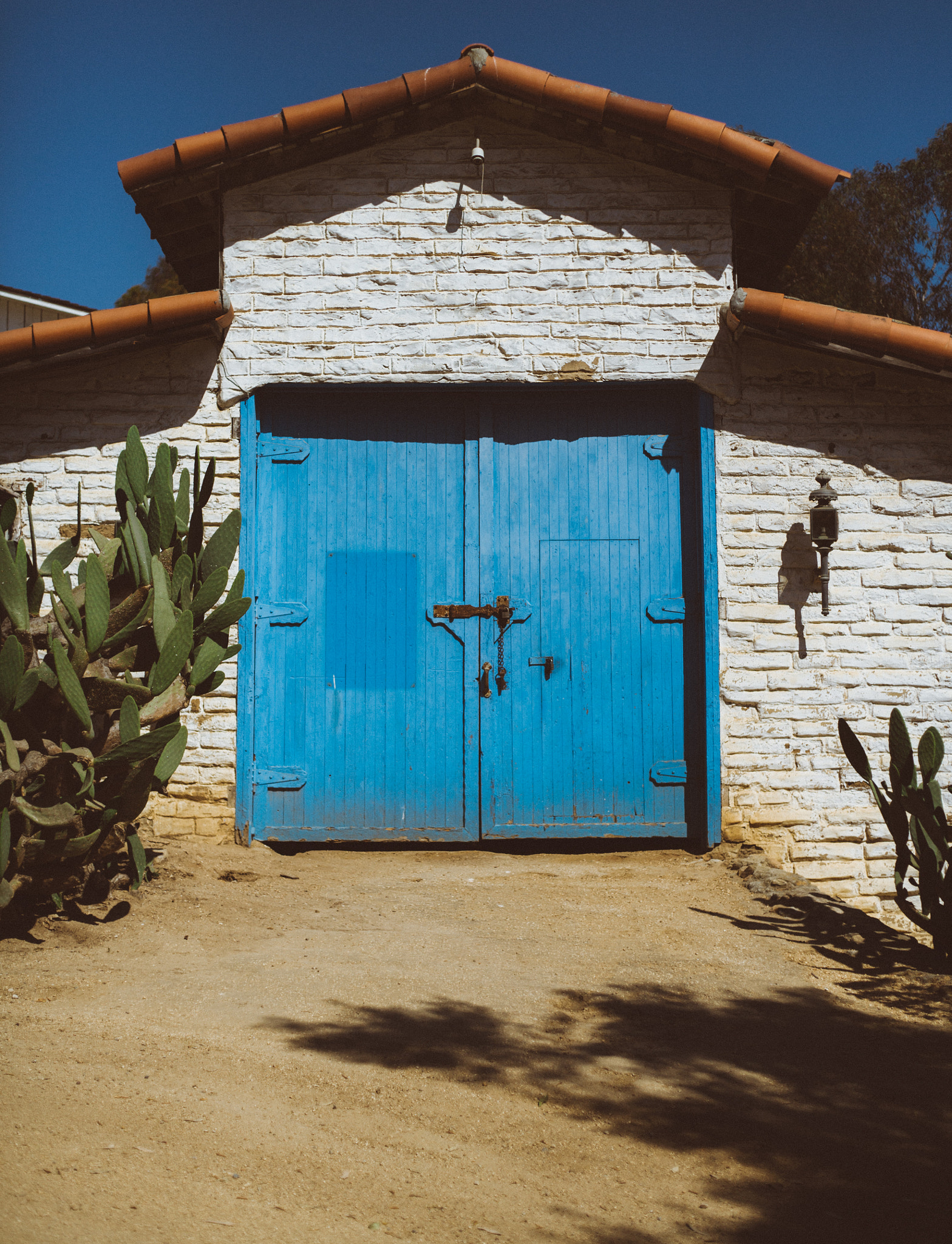 Canon EOS-1Ds Mark II + Canon EF 50mm F1.8 II sample photo. The blue door photography