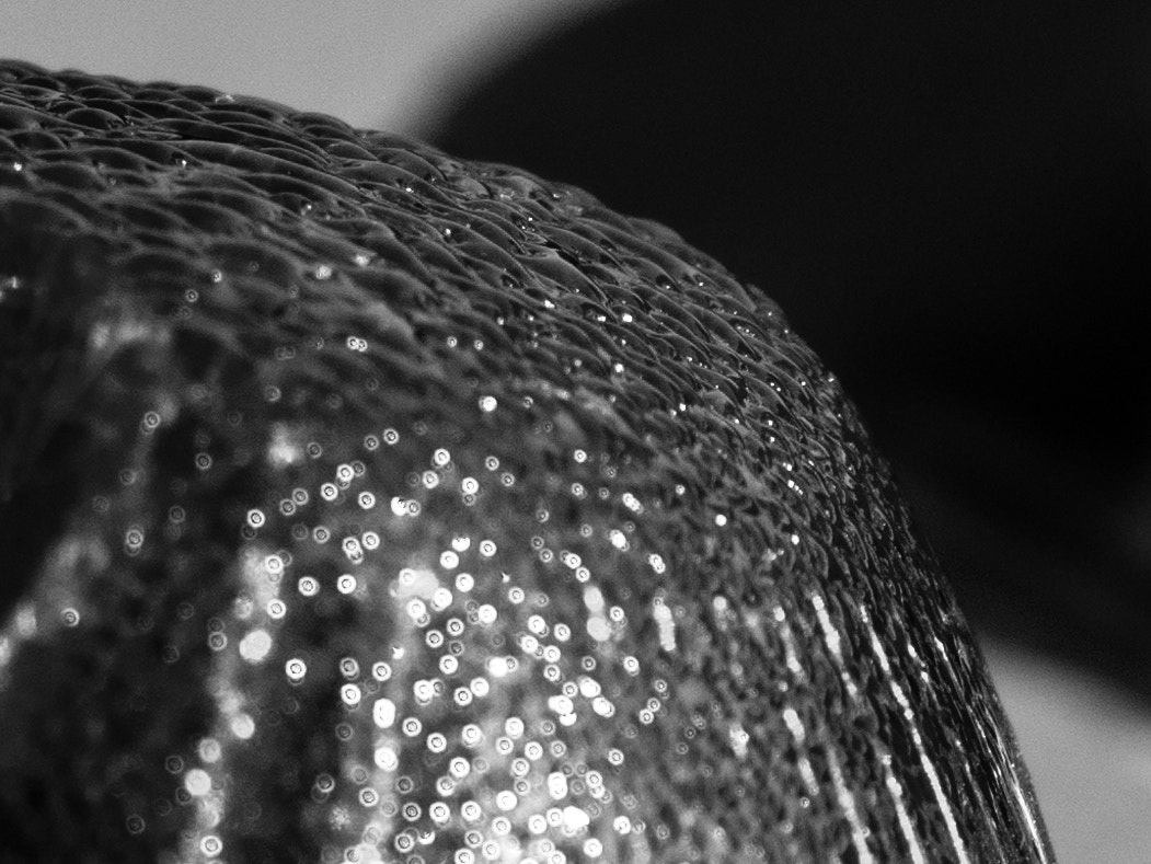 Panasonic Lumix DMC-GF7 sample photo. Dew photography