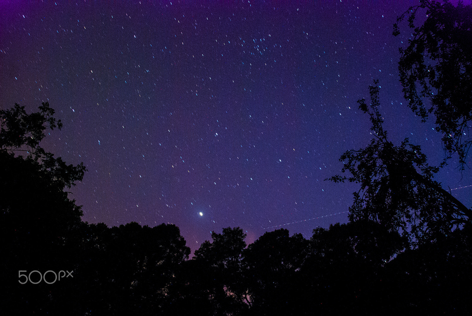 Nikon D40X sample photo. Night sky photography
