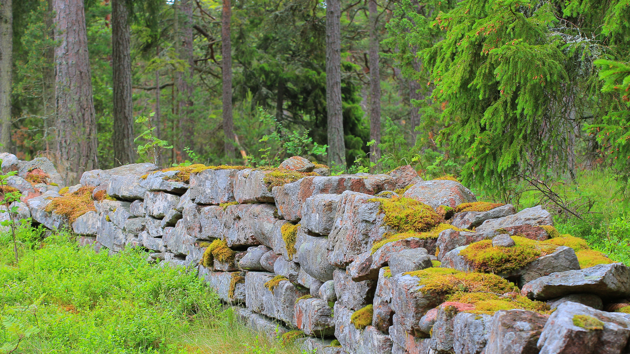 Canon EOS 650D (EOS Rebel T4i / EOS Kiss X6i) sample photo. Wall photography