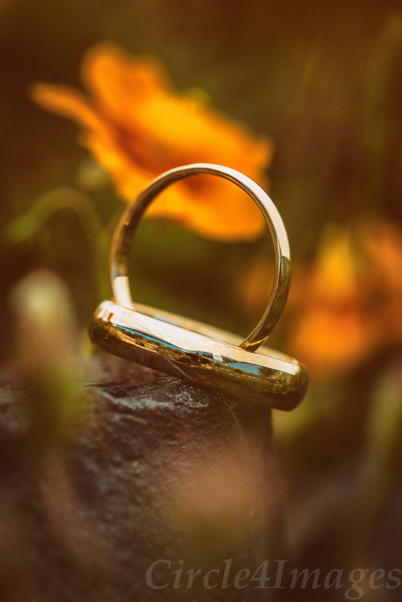 Sigma 150mm F2.8 EX DG Macro HSM sample photo. Untitled edit photography