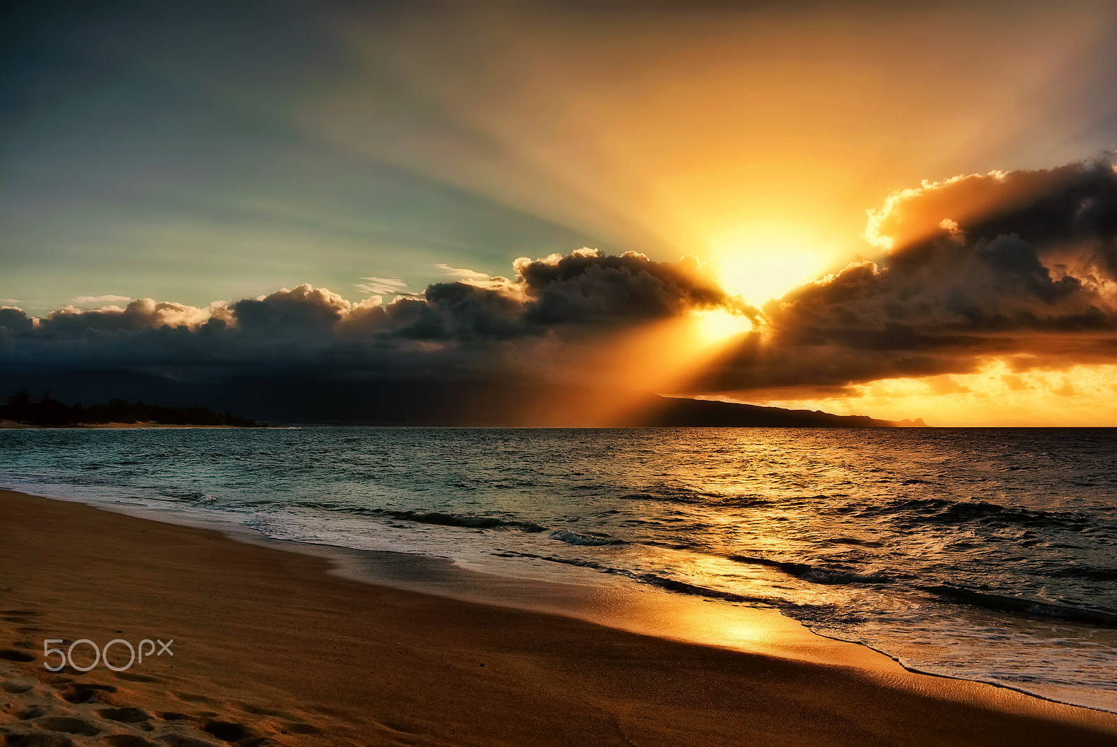Sigma 18-50mm F2.8-4.5 DC OS HSM sample photo. Maui sunlight photography