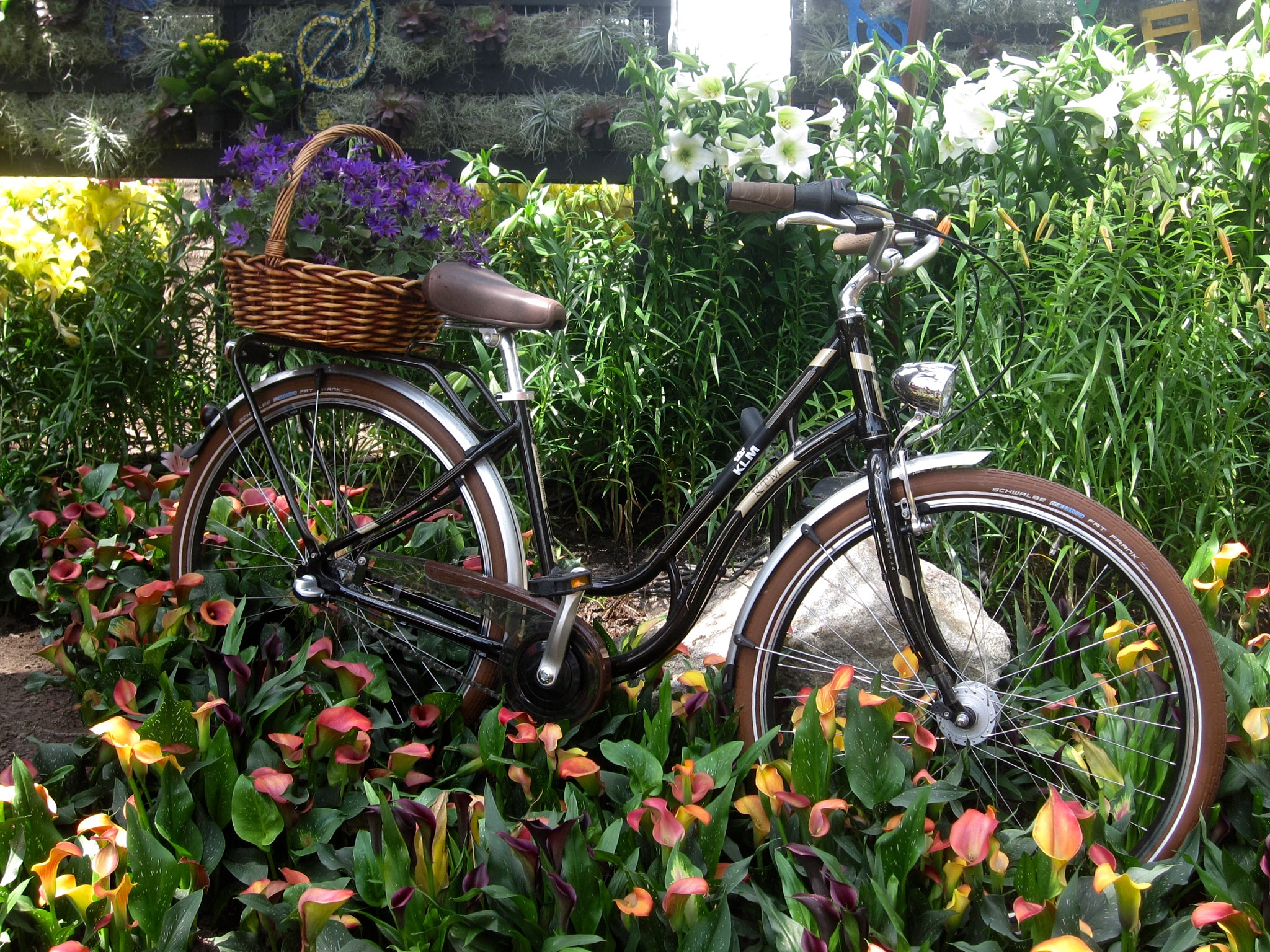 Canon PowerShot SD880 IS (Digital IXUS 870 IS / IXY Digital 920 IS) sample photo. The bicycle in flowering shrubs 花丛中的自行车 photography