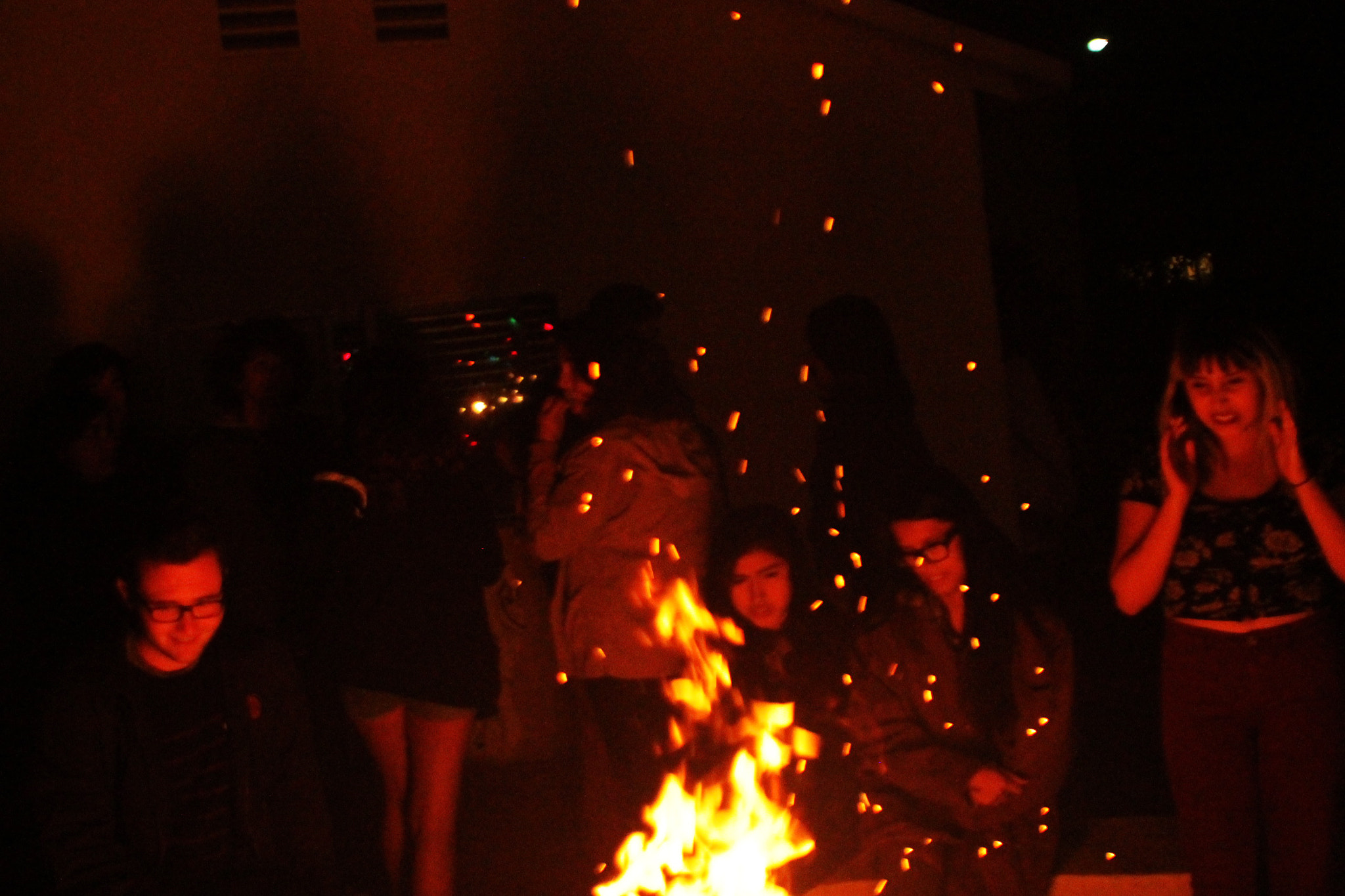Canon EOS 1100D (EOS Rebel T3 / EOS Kiss X50) sample photo. Moths to the flame.jpg photography