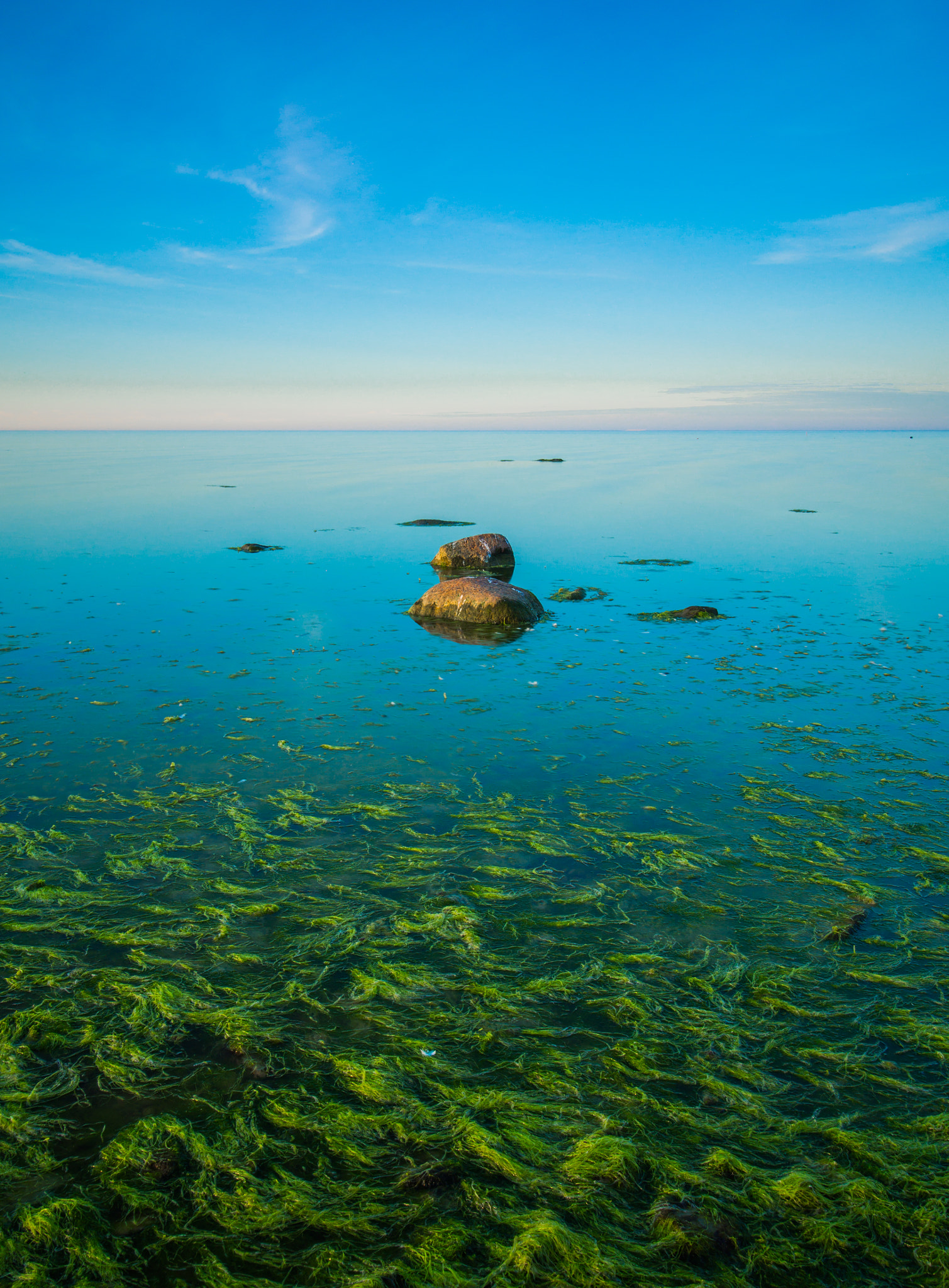 Olympus OM-D E-M5 + Olympus M.Zuiko Digital ED 7-14mm F2.8 PRO sample photo. Beautiful seascape during calm evening in estonia. photography