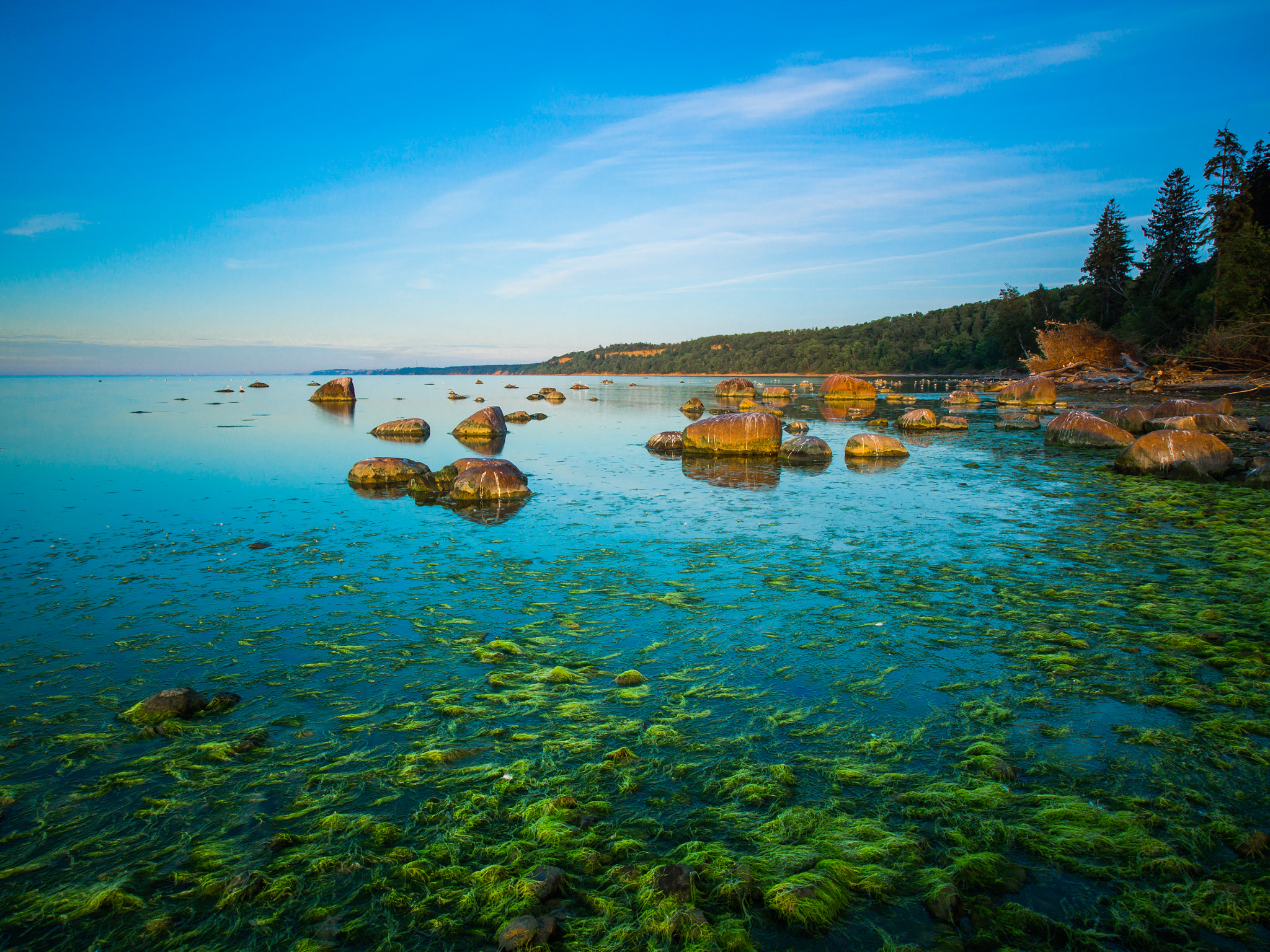 Olympus OM-D E-M5 + Olympus M.Zuiko Digital ED 7-14mm F2.8 PRO sample photo. Beautiful seascape during calm evening in estonia. photography