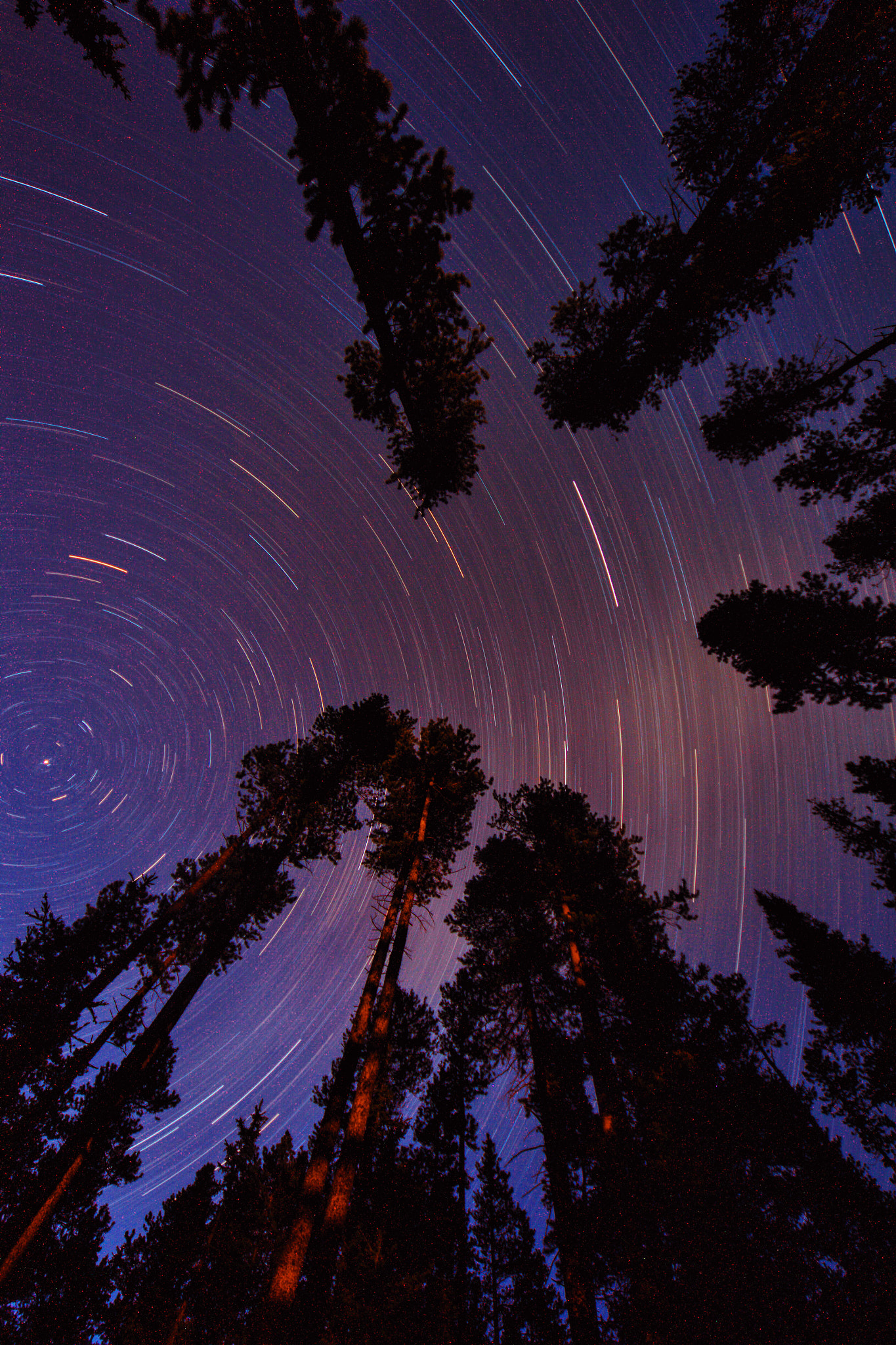 Canon EOS-1D Mark IV sample photo. 星空 photography