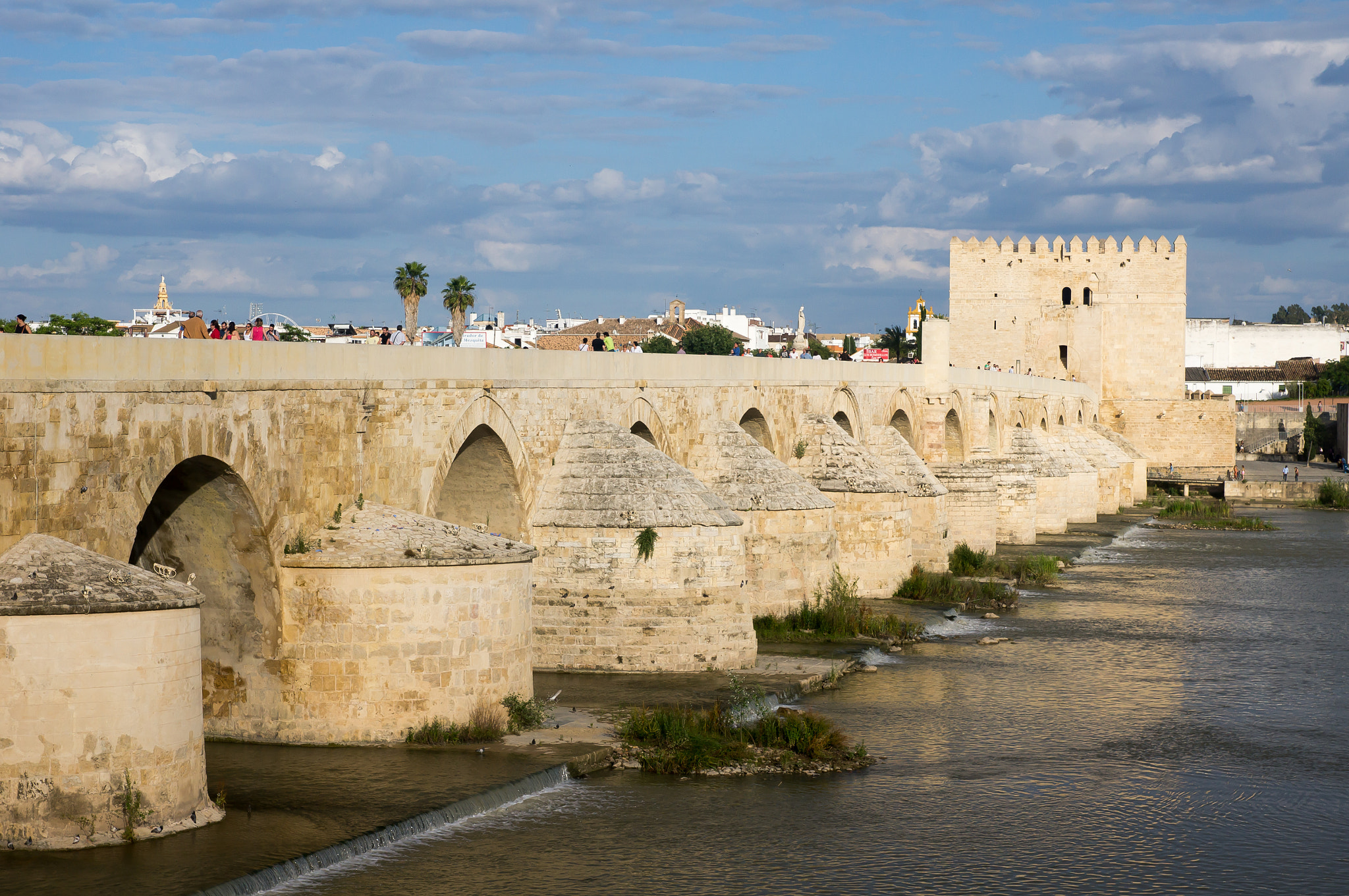 Sony Alpha DSLR-A580 + Tamron SP 24-70mm F2.8 Di VC USD sample photo. Cordoba's roman bridge photography