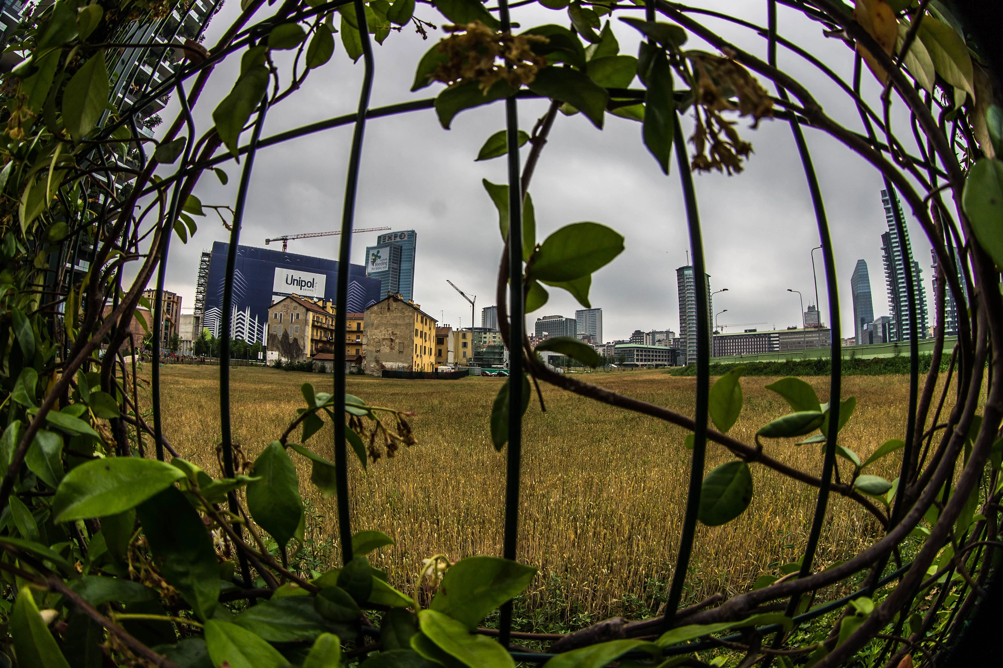Canon EF 8-15mm F4L Fisheye USM sample photo. Img_1165.jpg photography