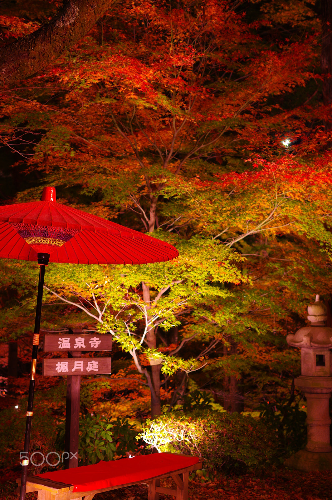 Pentax K-3 sample photo. Autumn night of japan #2 photography