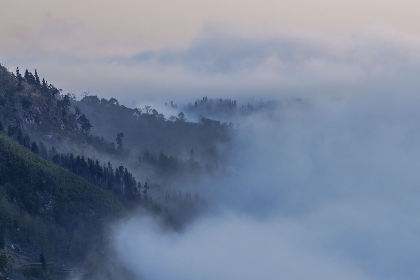 Sony Alpha a3000 + Sony Vario-Tessar T* E 16-70mm F4 ZA OSS sample photo. Foggy morning in duoyishu - yunnan - china photography