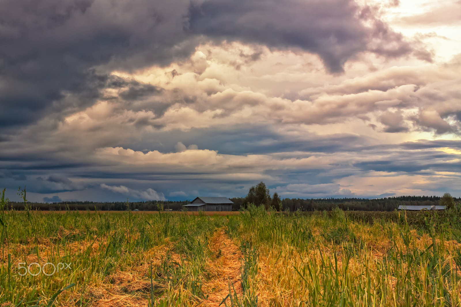 Canon EOS 50D + Canon EF 40mm F2.8 STM sample photo. Storm clouds over the fields photography