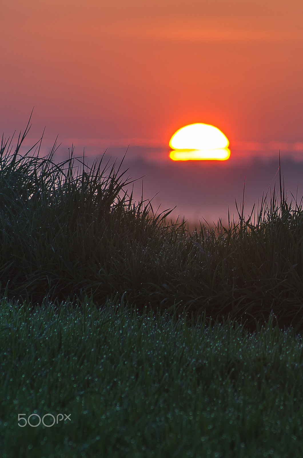 Pentax K-5 II + A Series Lens sample photo. Spring mornings...carpathia photography