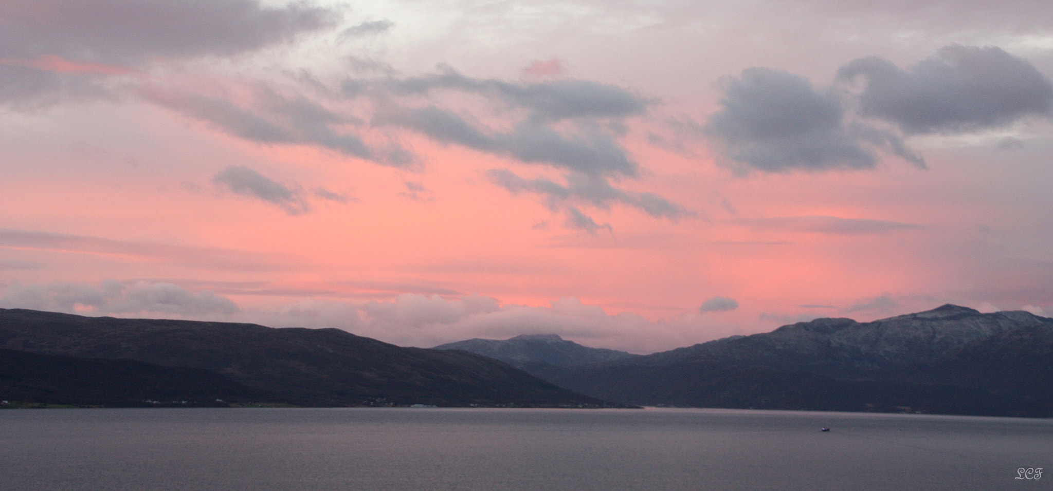 Canon EOS 450D (EOS Rebel XSi / EOS Kiss X2) sample photo. Pink... photography