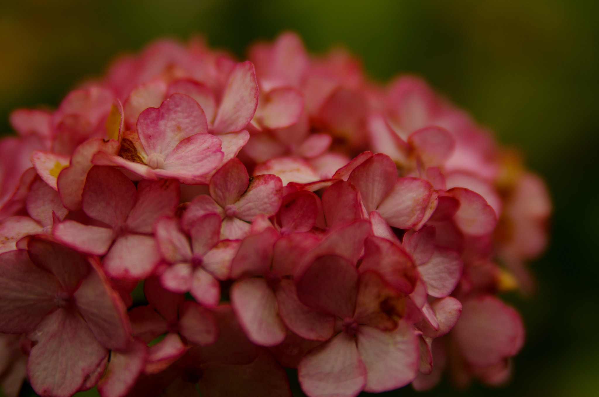 Tamron AF 28-75mm F2.8 XR Di LD Aspherical (IF) sample photo