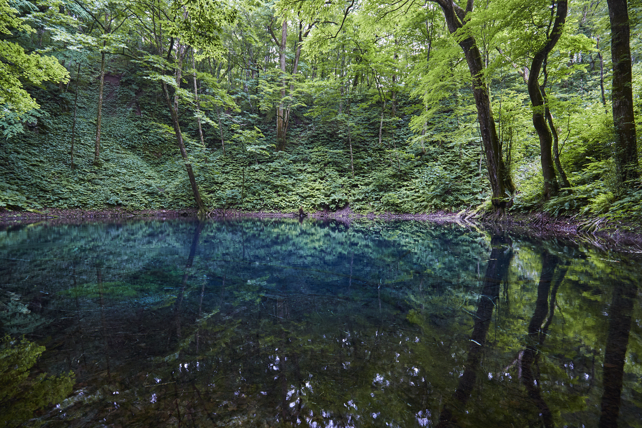 Canon EF 16-35mm F4L IS USM sample photo. Blue wonderland photography