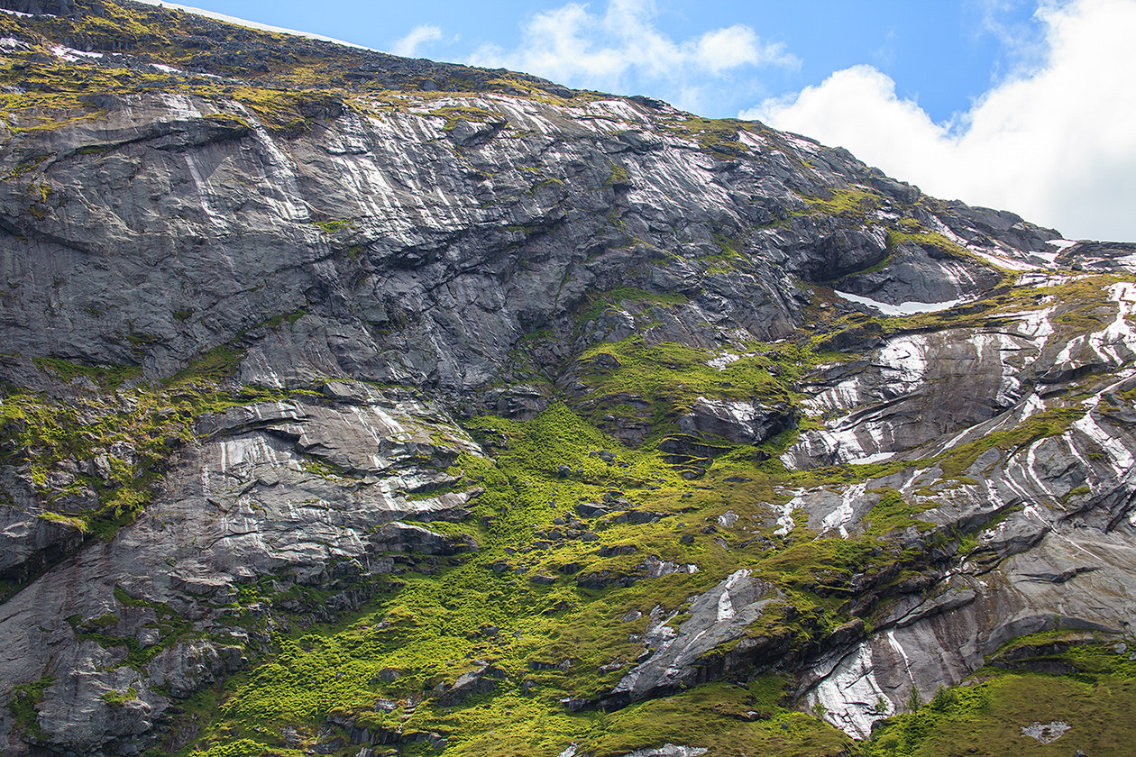 Canon EF 80-200mm f/2.8L sample photo. Norwegian textures photography