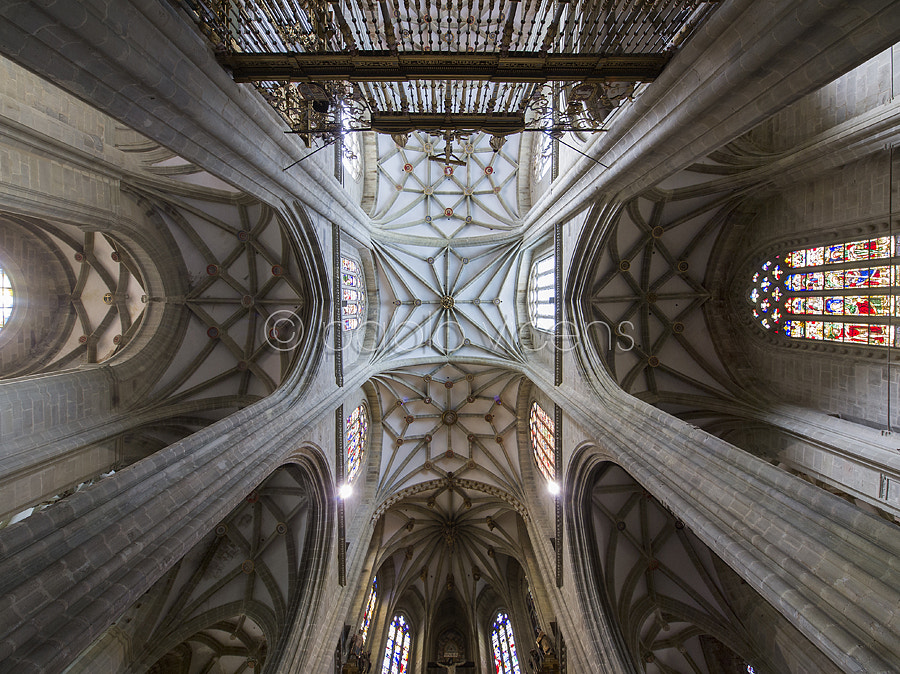 OLYMPUS  7-14mm Lens sample photo. Catedral de astorga photography