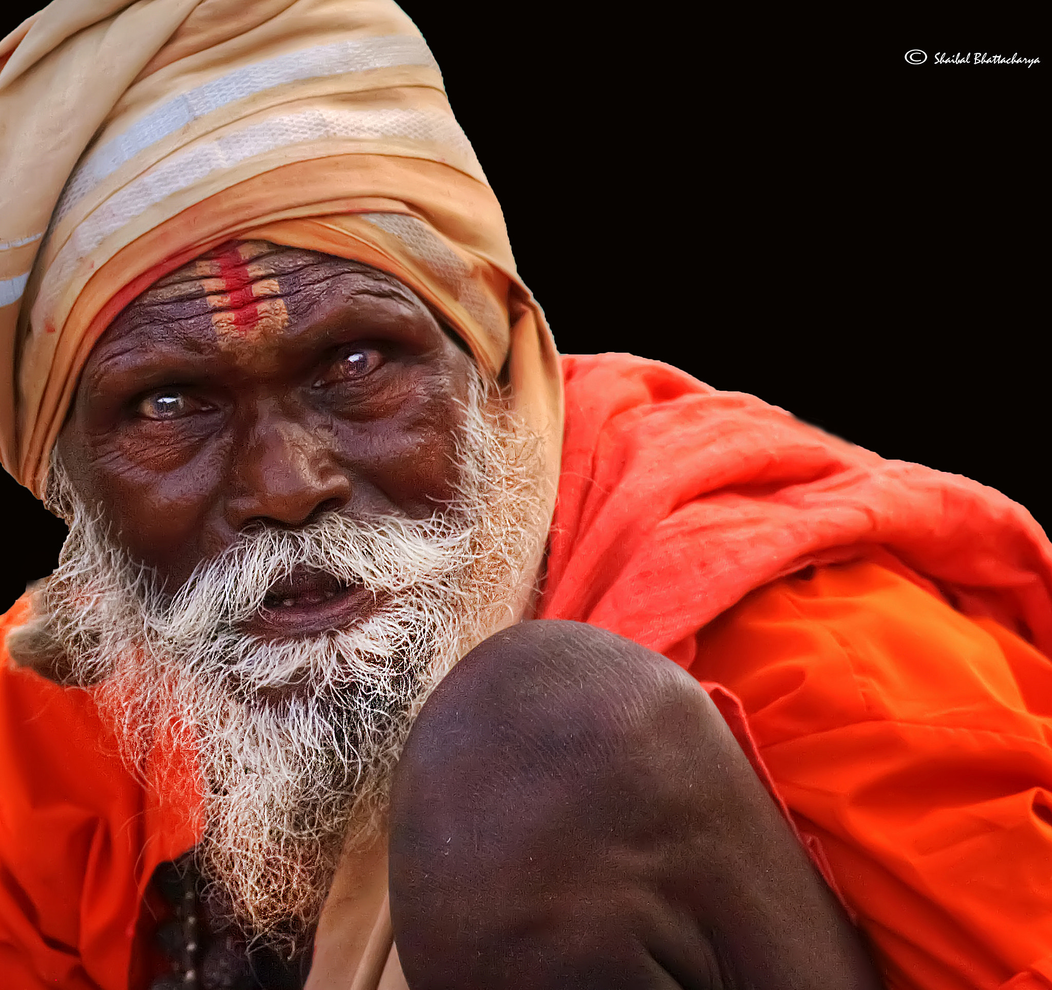 Canon EOS 5D + Canon EF 400mm F5.6L USM sample photo. The old hermit photography