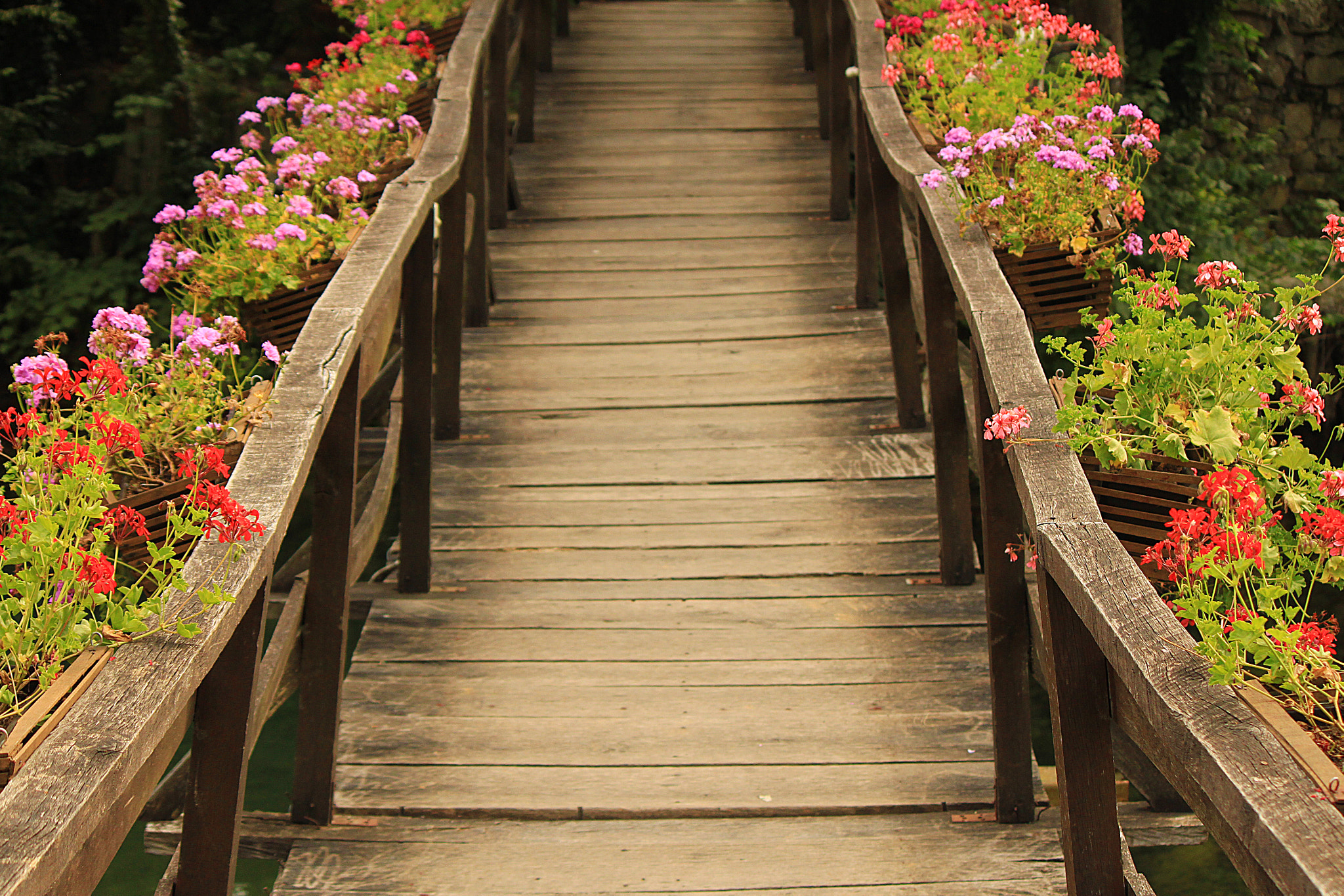 Canon EOS 500D (EOS Rebel T1i / EOS Kiss X3) sample photo. The bridge photography