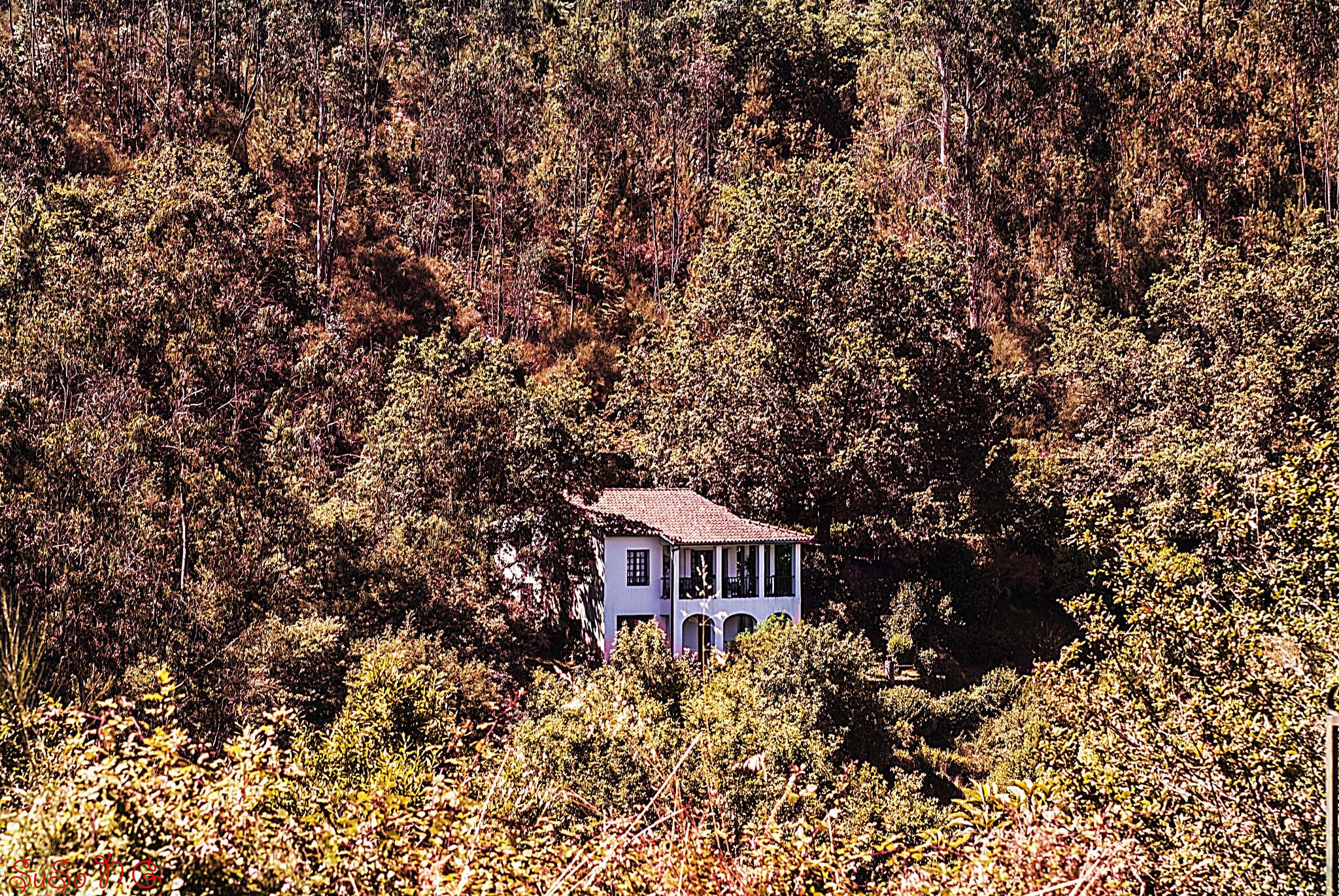 Nikon D3000 sample photo. Natu photography