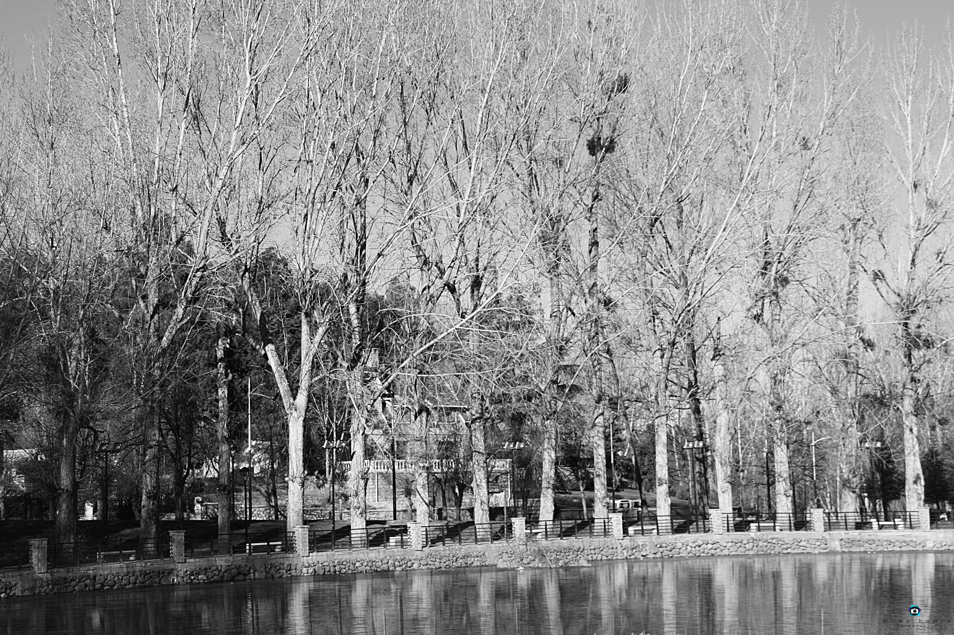 Sigma 18-200mm f/3.5-6.3 DC OS sample photo