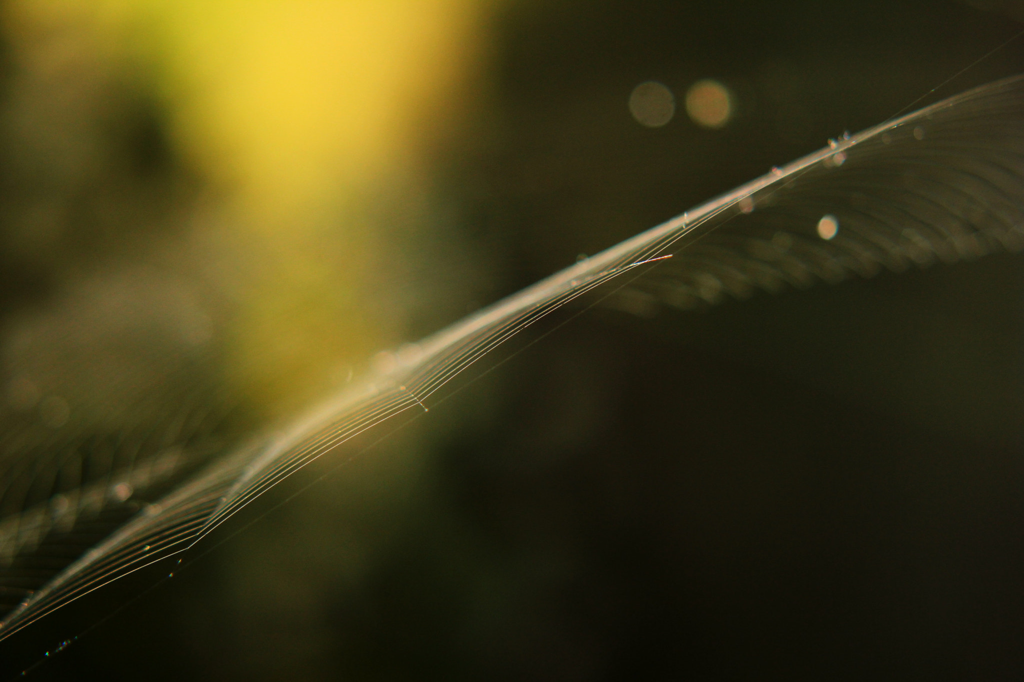 Canon EF-S 55-250mm F4-5.6 IS II sample photo. On the edge of the universe photography