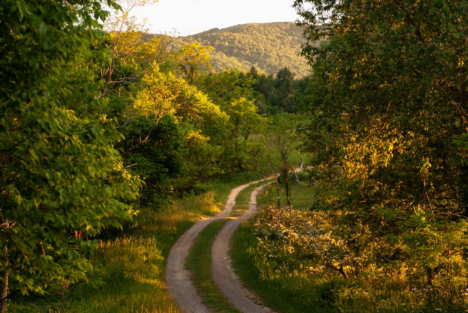 Nikon D3000 + Nikon AF Nikkor 50mm F1.8D sample photo. Country road, early evening photography