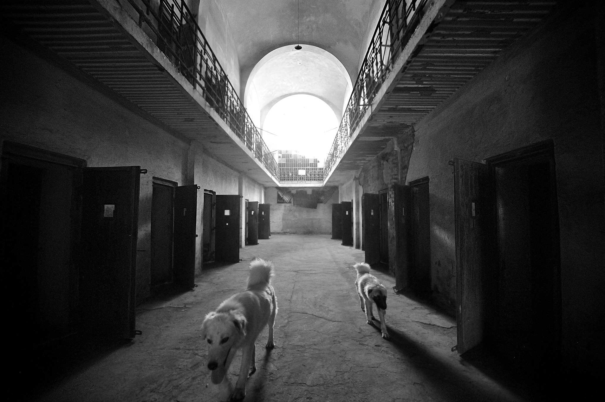 Nikon D300 + Sigma 10-20mm F3.5 EX DC HSM sample photo. Prison guards photography