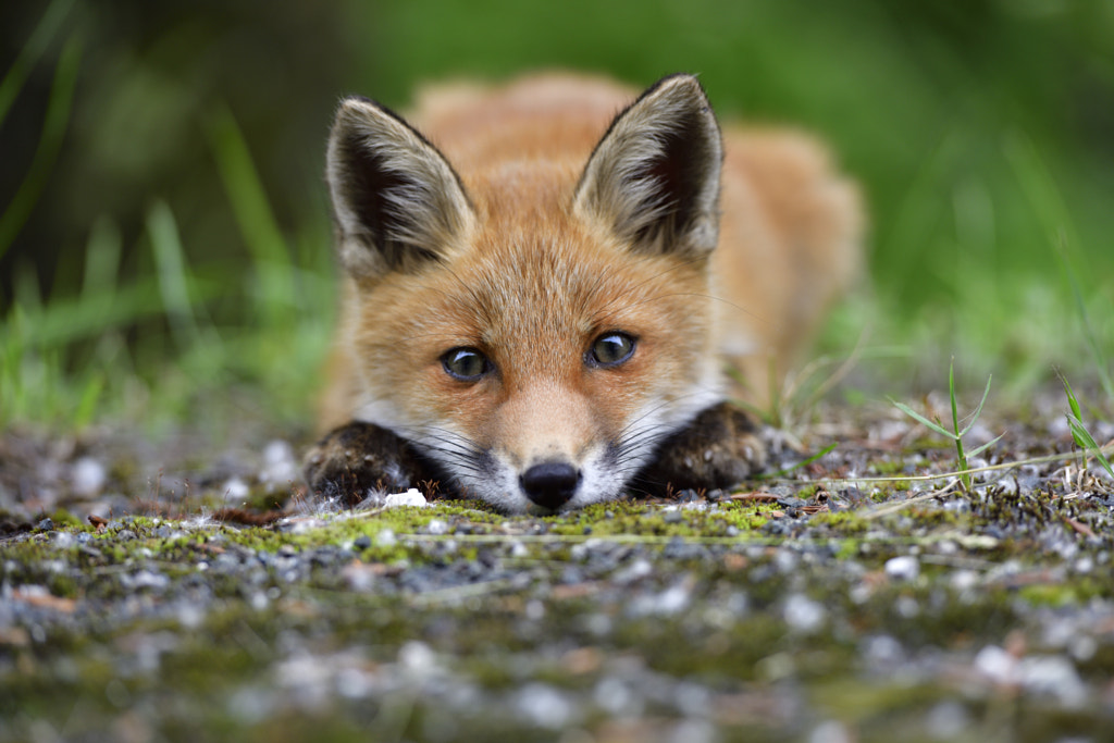 See you around by Naomichi Maki on 500px.com