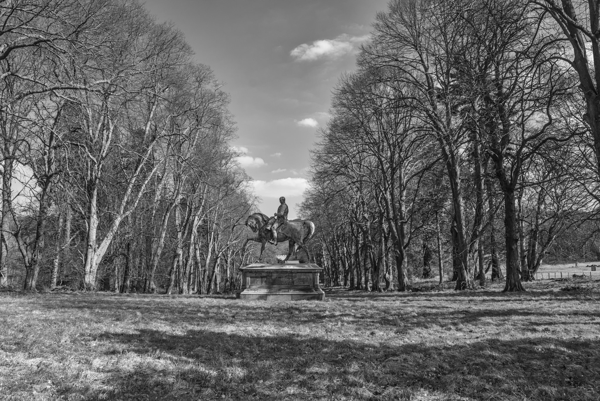 Sony Alpha DSLR-A900 + Sigma 28-105mm F2.8-4 Aspherical sample photo. Viscount on horseback. photography