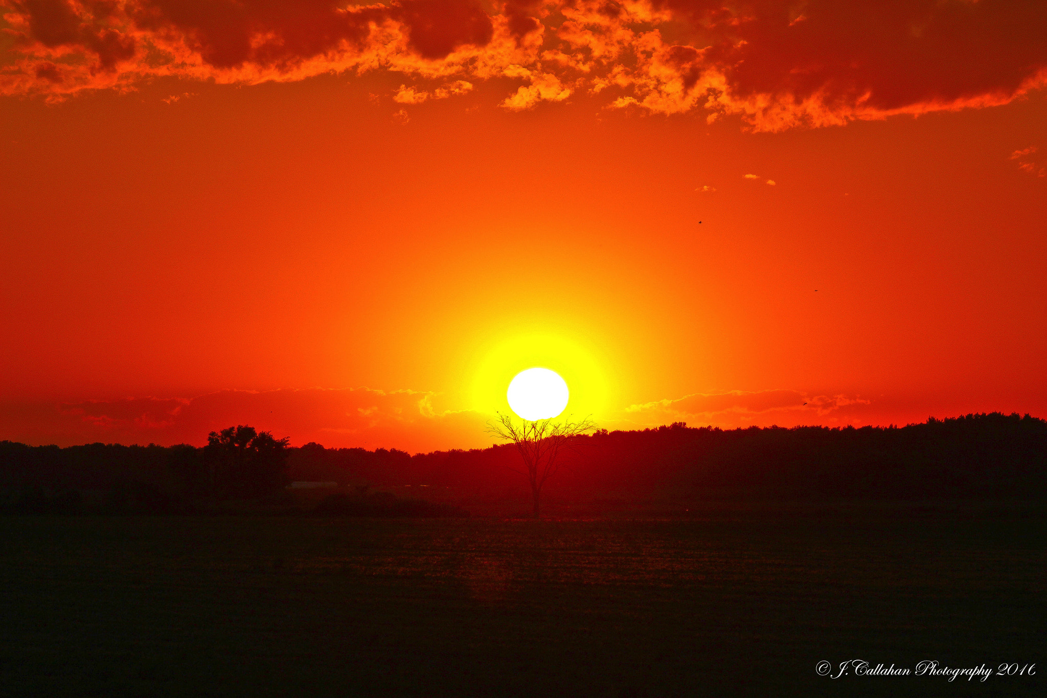 Canon EF 80-200mm F4.5-5.6 II sample photo. Evening glory photography